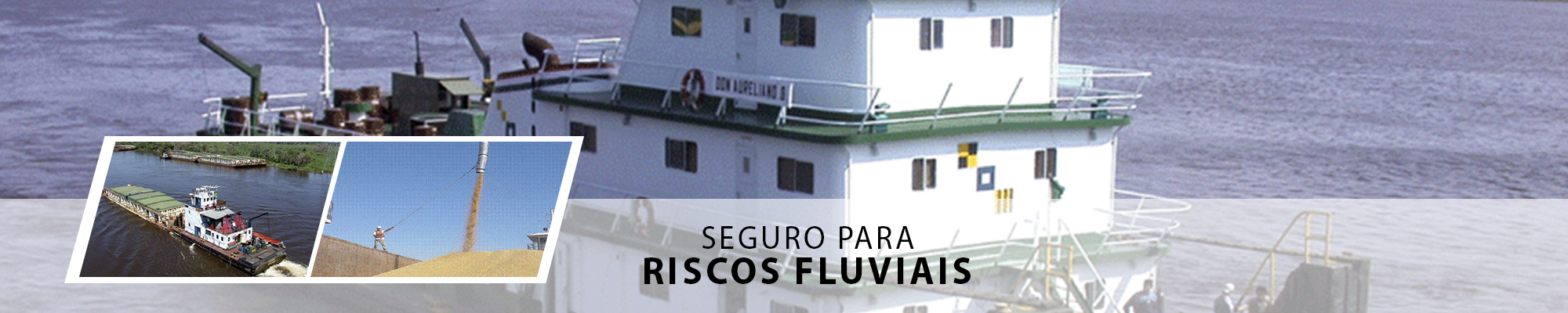 Banner-Angus-Riscos-Fluviais